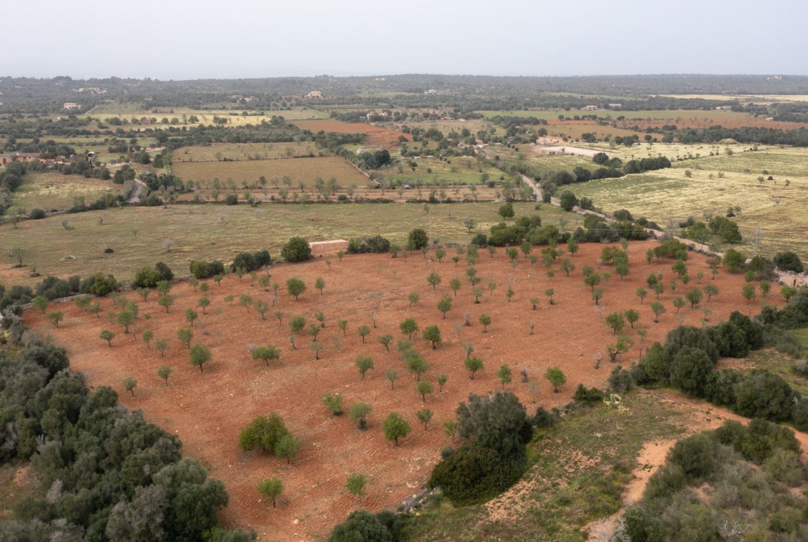 Terreno rústico con proyecto cerca de Ses Salines, Mallorca