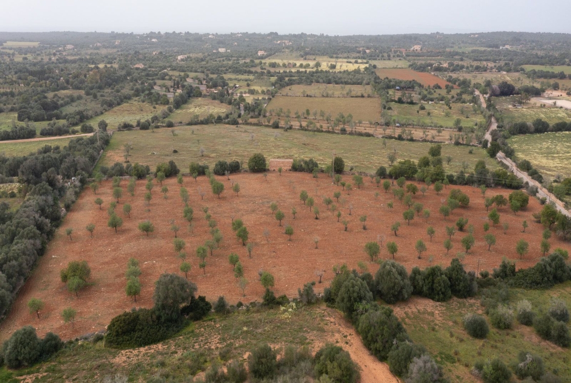 Terreno rústico con proyecto cerca de Ses Salines, Mallorca
