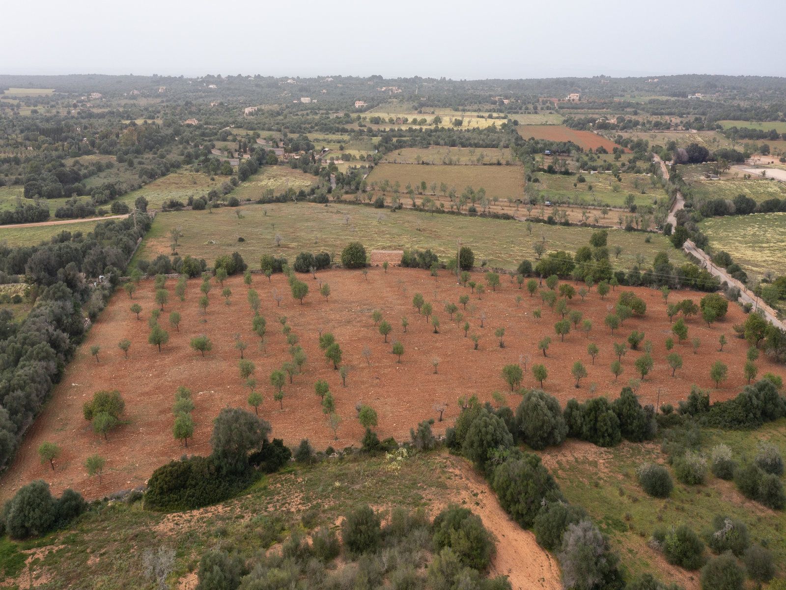 1258-Parcela-de-terreno-rústico-en-venta-en-Ses-Salines-1258-4.jpg Terreno rústico con proyecto cerca de Ses Salines, Mallorca