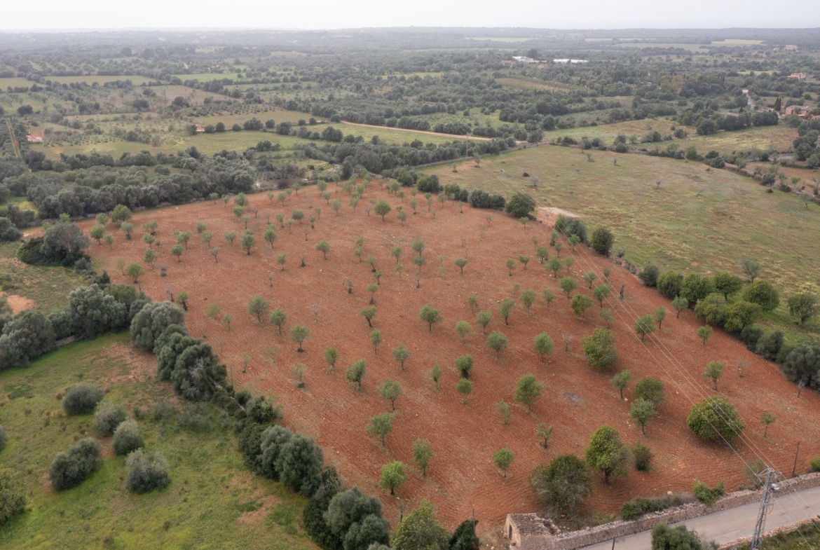 Terreno rústico con proyecto cerca de Ses Salines, Mallorca