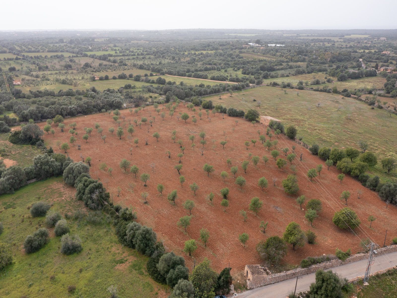 1258-Parcela-de-terreno-rústico-en-venta-en-Ses-Salines-1258-5.jpg Terreno rústico con proyecto cerca de Ses Salines, Mallorca