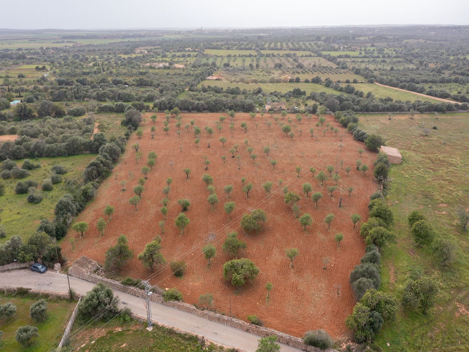 1258-Parcela-de-terreno-rústico-en-venta-en-Ses-Salines-1258-6.jpg Terreno rústico con proyecto cerca de Ses Salines, Mallorca