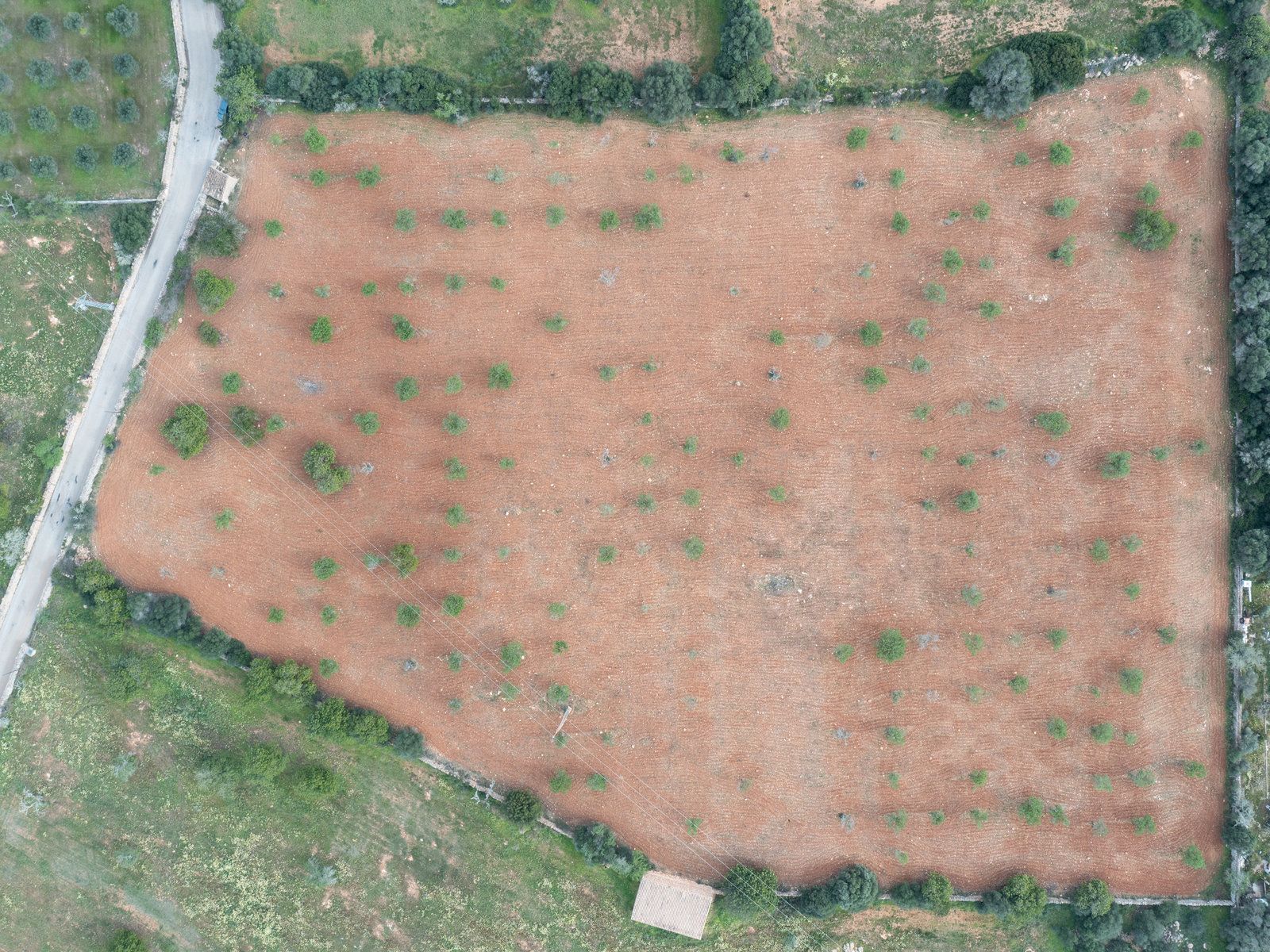 1258-Parcela-de-terreno-rústico-en-venta-en-Ses-Salines-1258-7.jpg Terreno rústico con proyecto cerca de Ses Salines, Mallorca