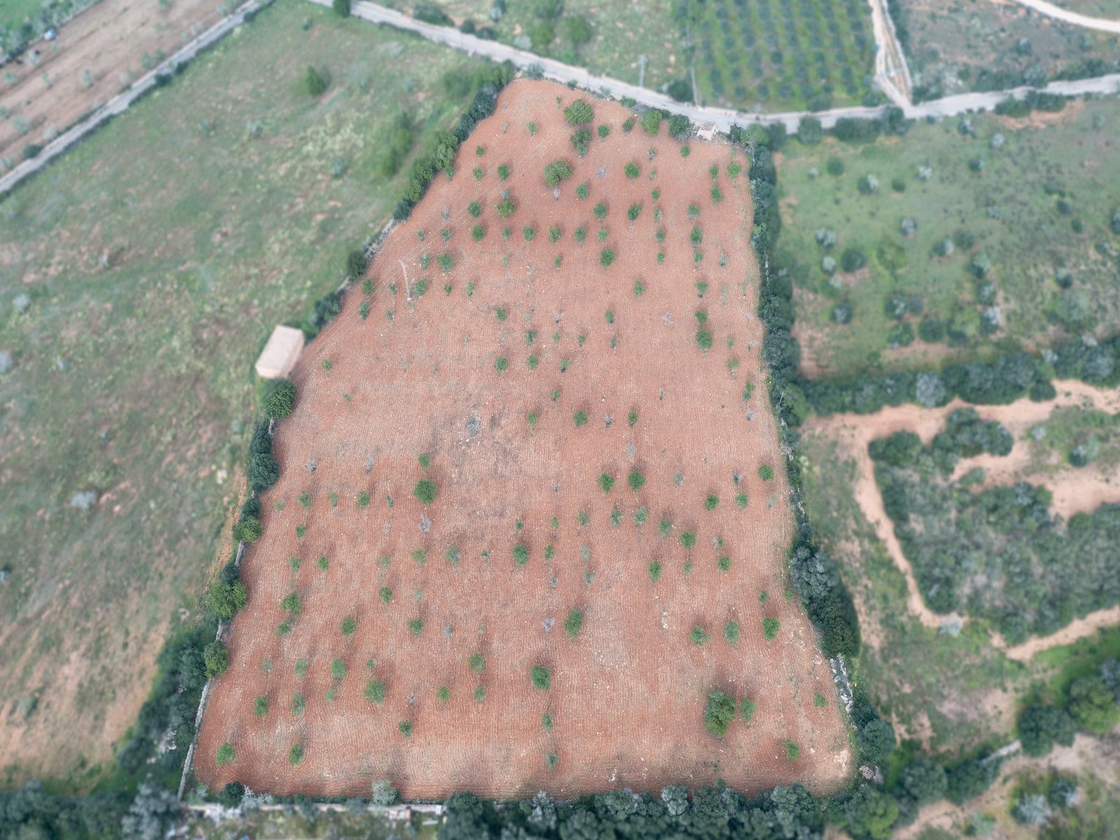 1258-Parcela-de-terreno-rústico-en-venta-en-Ses-Salines-1258-8.jpg Terreno rústico con proyecto cerca de Ses Salines, Mallorca