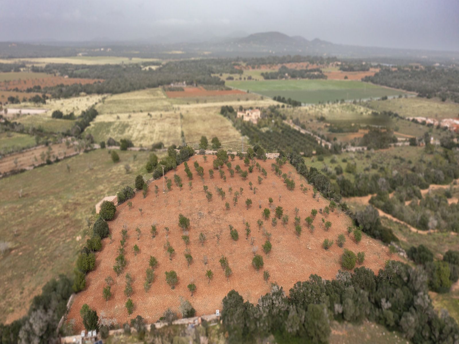 1258-Parcela-de-terreno-rústico-en-venta-en-Ses-Salines-1258.jpg Terreno rústico con proyecto cerca de Ses Salines, Mallorca
