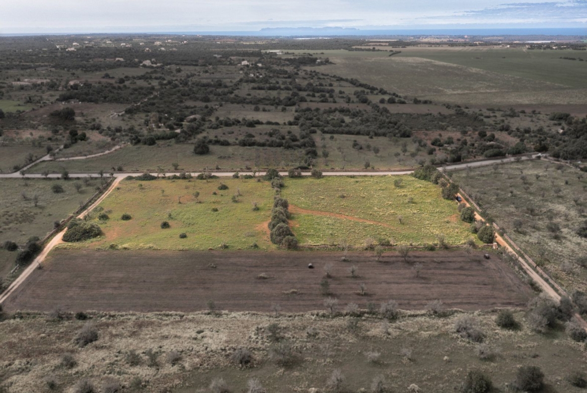 Terreno rústico en venta cerca de Ses Salines, sureste de Mallorca