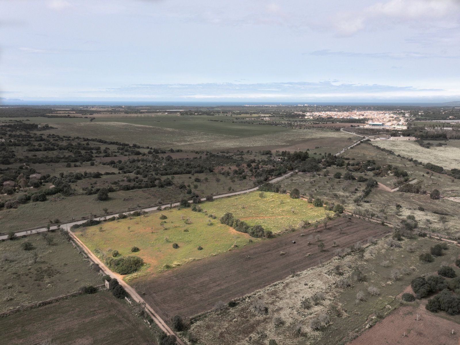 1259-Terreno-rustico-en-venta-junto-a-Ses-Salines-2.jpg Terreno rústico en venta cerca de Ses Salines, sureste de Mallorca