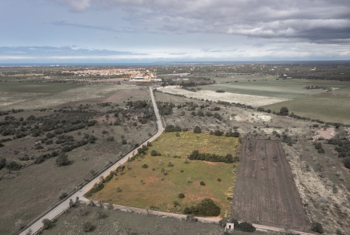 Terreno rústico en venta cerca de Ses Salines, sureste de Mallorca