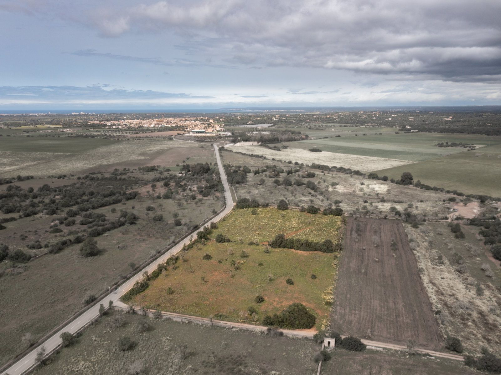 1259-Terreno-rustico-en-venta-junto-a-Ses-Salines-3.jpg Terreno rústico en venta cerca de Ses Salines, sureste de Mallorca