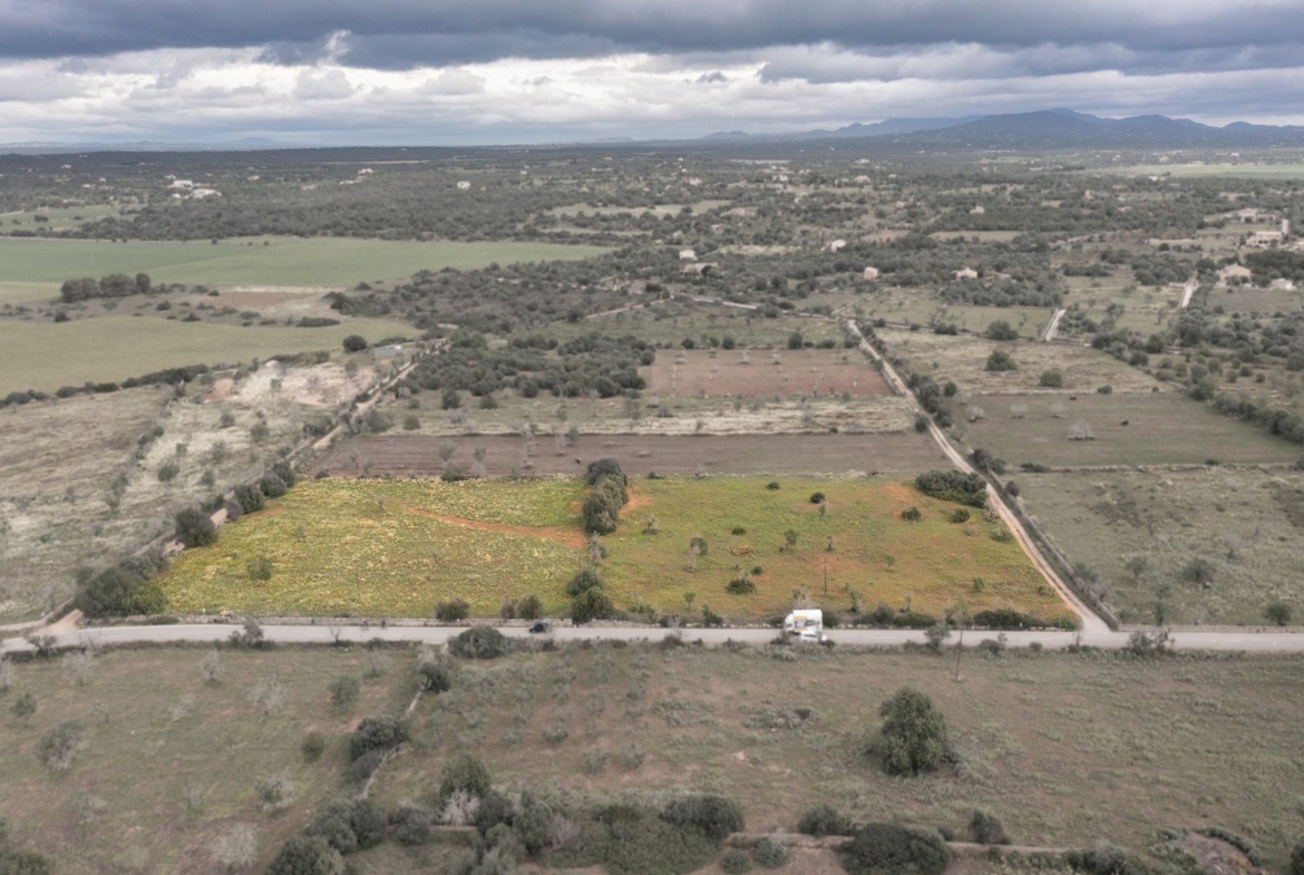 Terreno rústico en venta cerca de Ses Salines, sureste de Mallorca