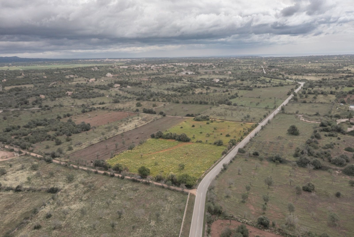 Terreno rústico en venta cerca de Ses Salines, sureste de Mallorca