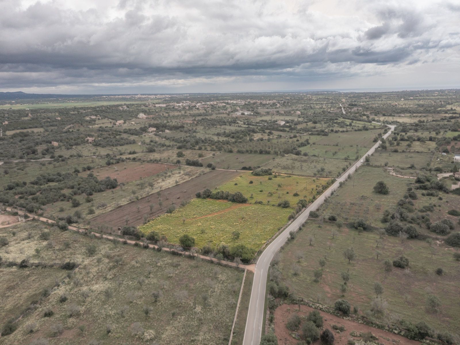 1259-Terreno-rustico-en-venta-junto-a-Ses-Salines-5.jpg Terreno rústico en venta cerca de Ses Salines, sureste de Mallorca