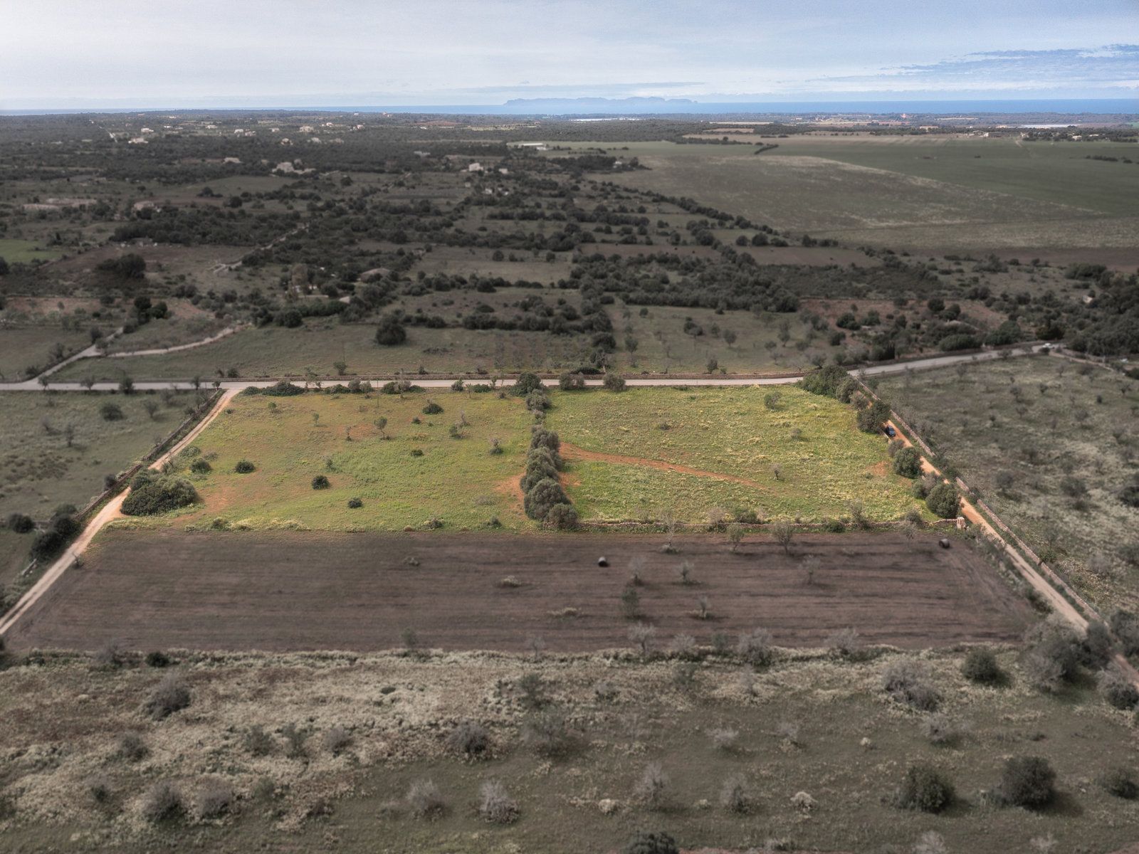 1259-Terreno-rustico-en-venta-junto-a-Ses-Salines.jpg Terreno rústico en venta cerca de Ses Salines, sureste de Mallorca