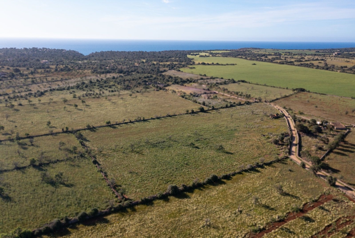 Baugrundstück mit Architekturprojekt nahe Cala s’Almunia, Santanyí