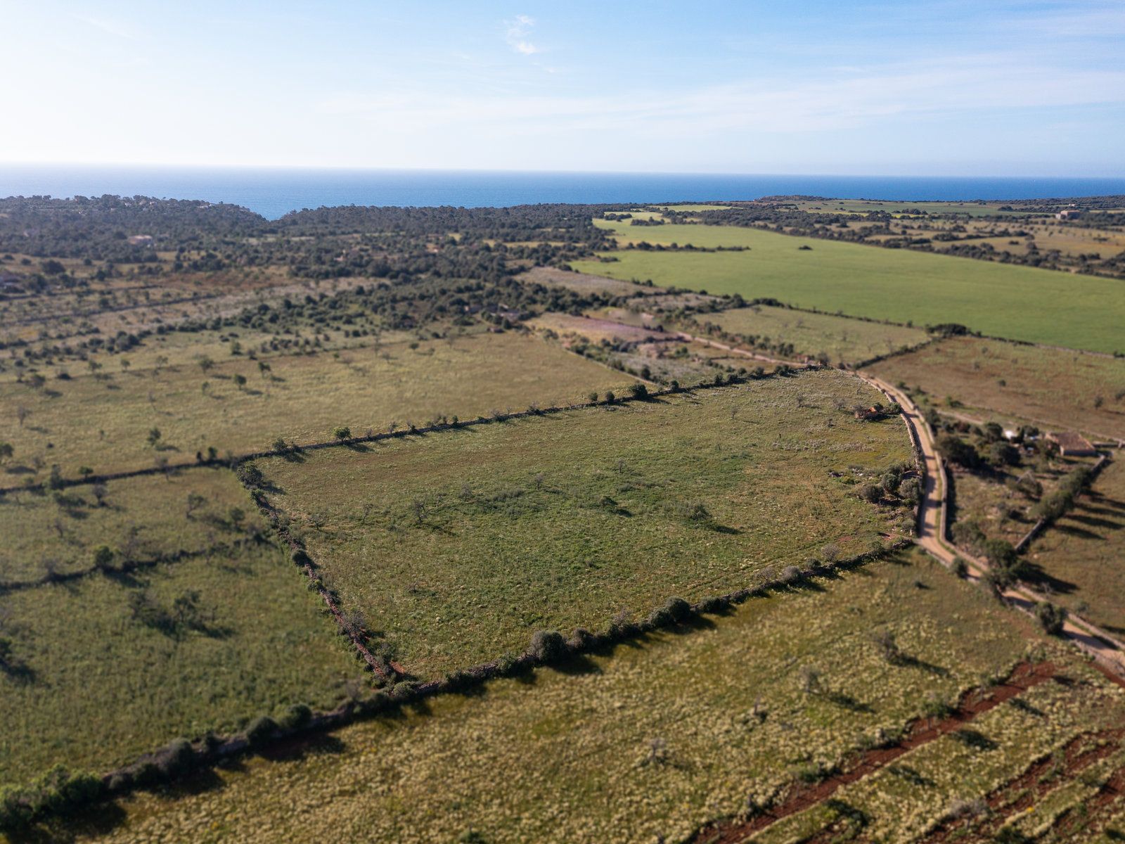1268-Terreno-edificable-en-venta-con-proyecto-junto-a-Cala-sAlmunia-4.jpg Baugrundstück mit Architekturprojekt nahe Cala s’Almunia, Santanyí
