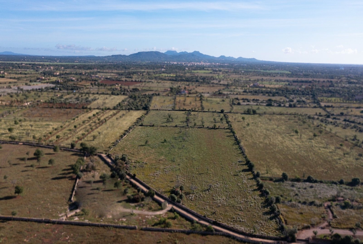 Baugrundstück mit Architekturprojekt nahe Cala s’Almunia, Santanyí