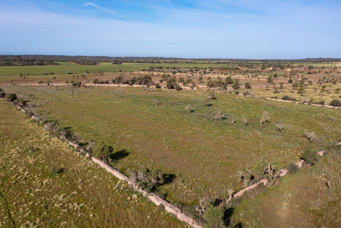 Baugrundstück mit Architekturprojekt nahe Cala s’Almunia, Santanyí