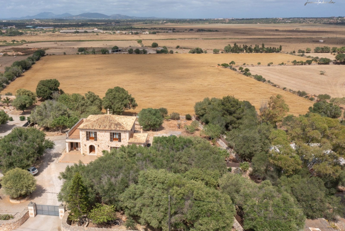 Stone Country House with Pool in Ses Salines | 3 Bed, 15,000 m² Plot