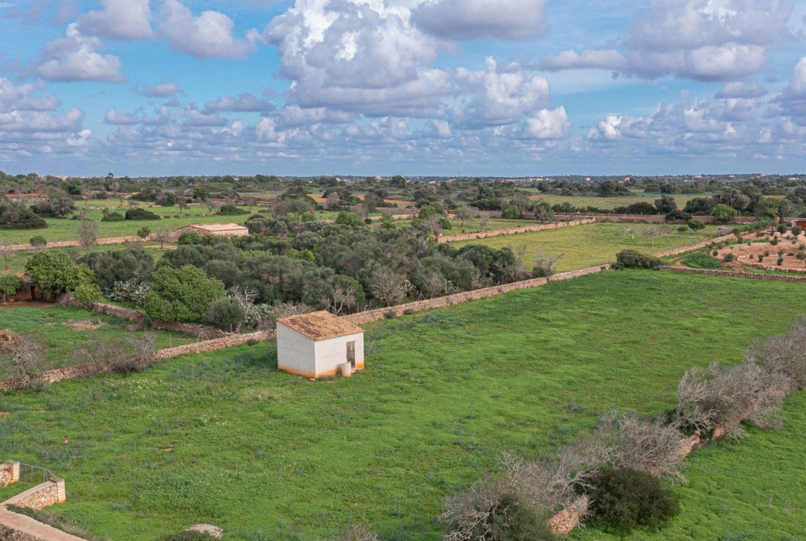 Country Cottage with Large Plot Near Ses Salines, Santanyí