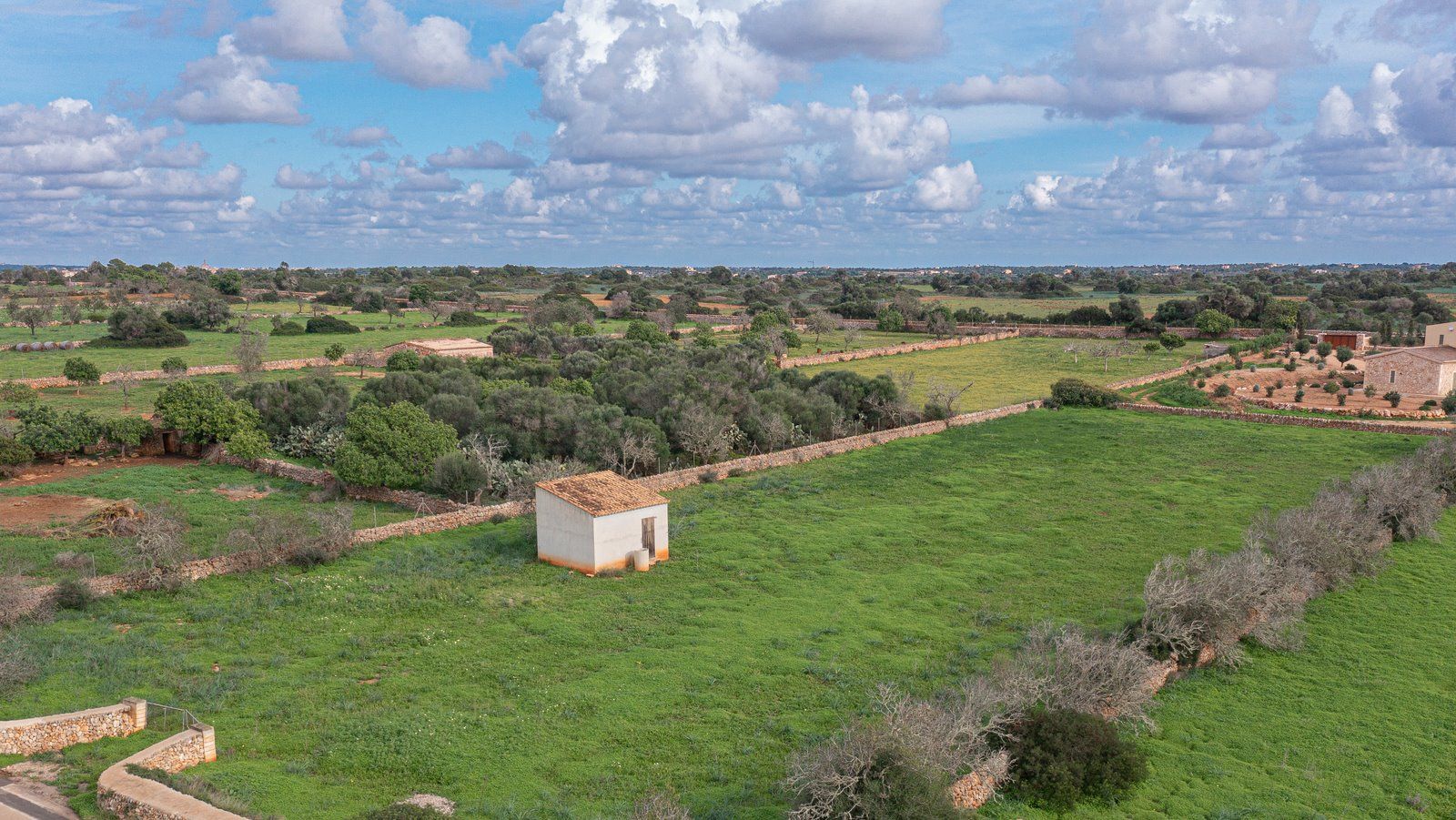 13-1233-Villasyfincasmallorca.jpg Country Cottage with Large Plot Near Ses Salines, Santanyí