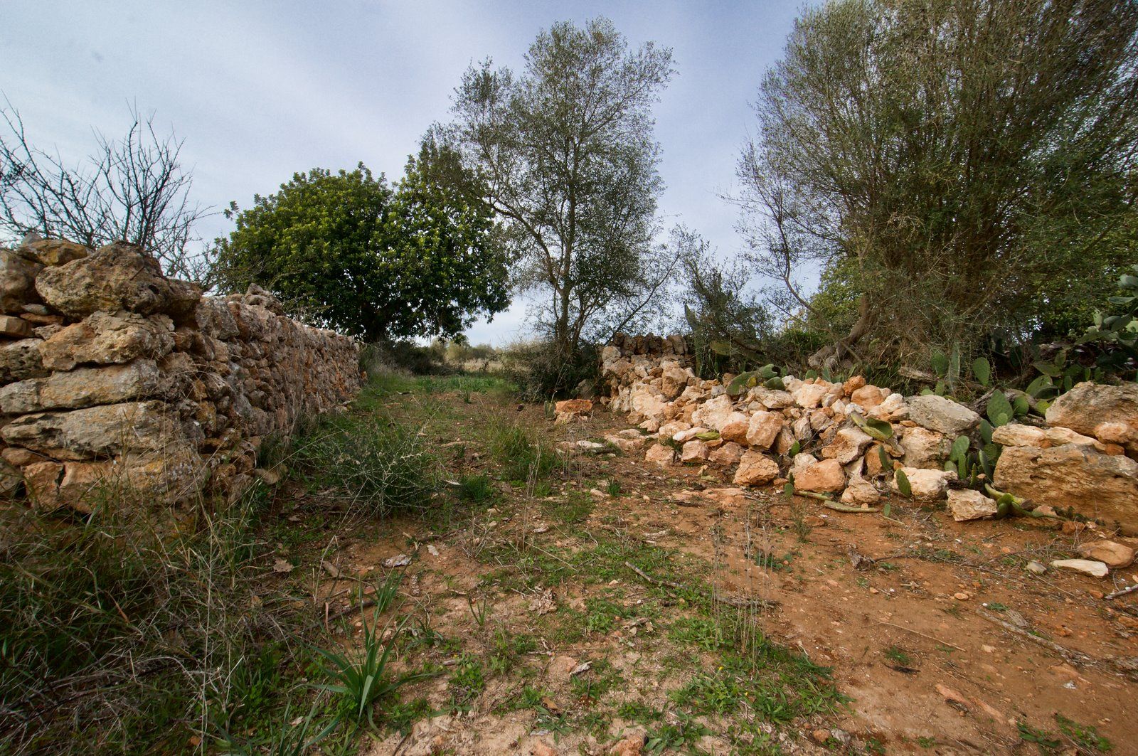 13-959-Villasyfincasmallorca.jpeg Landhaus zum Renovieren in Ses Salines: Finca-Projekt auf Mallorca