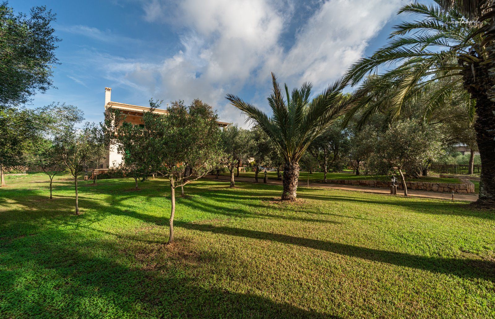 1314-Country-house-to-rent-in-Ses-Salines-3-Copiar.jpg Casa de campo en alquiler cerca de Ses Salines con vistas al mar
