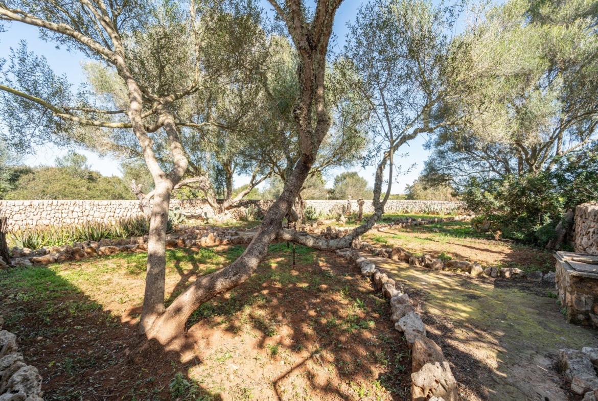 Casa de campo en alquiler en Santanyí, junto a Es Llombards