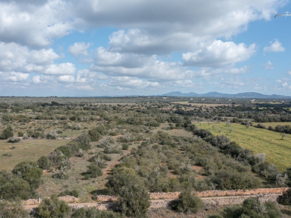 Terreno rústico edificable junto a Ses Salines con luz de red