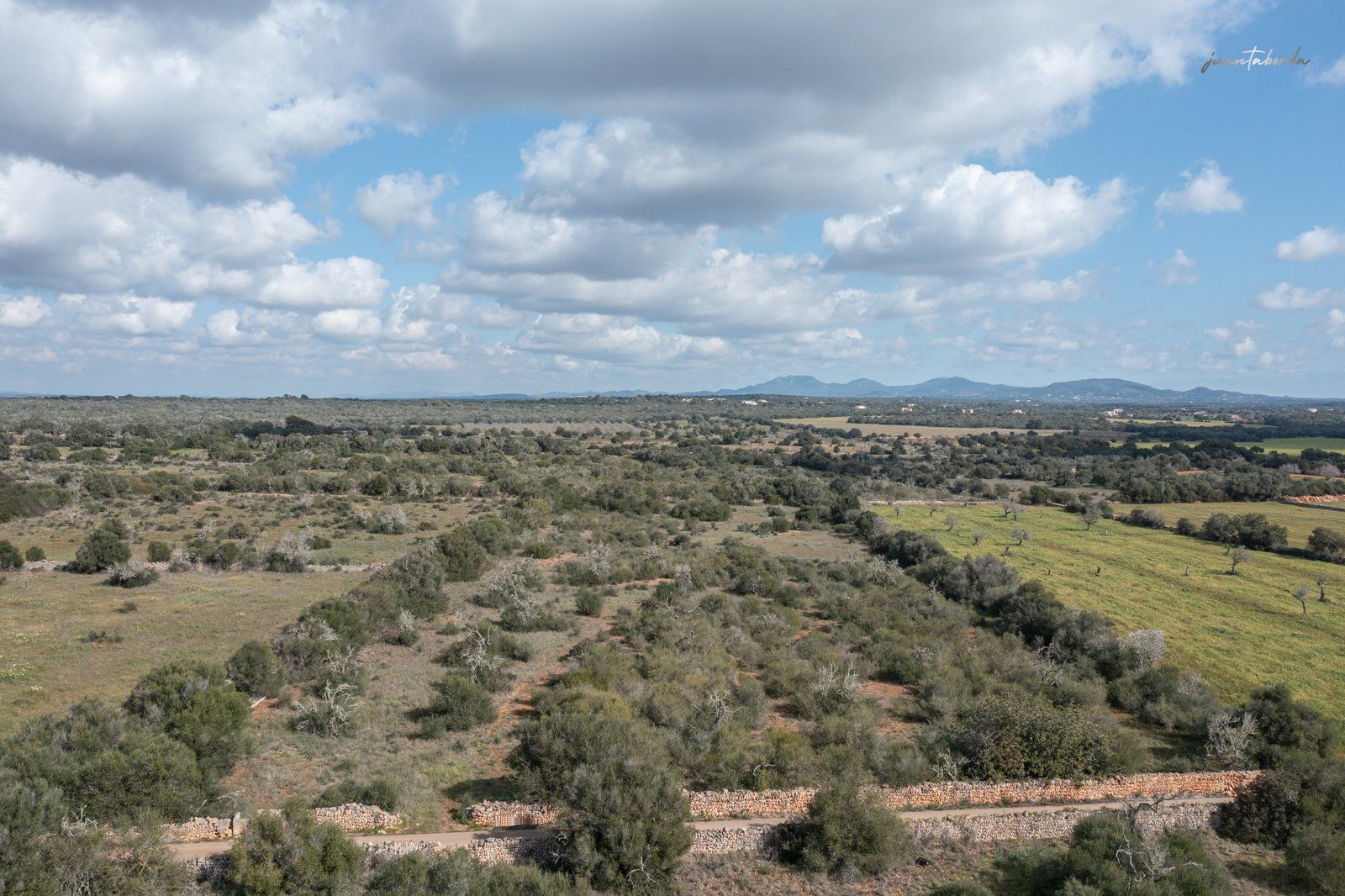 1330-Rustic-land-for-sale-next-to-Ses-Salines-1-Copiar.jpg Terreno rústico edificable junto a Ses Salines con luz de red