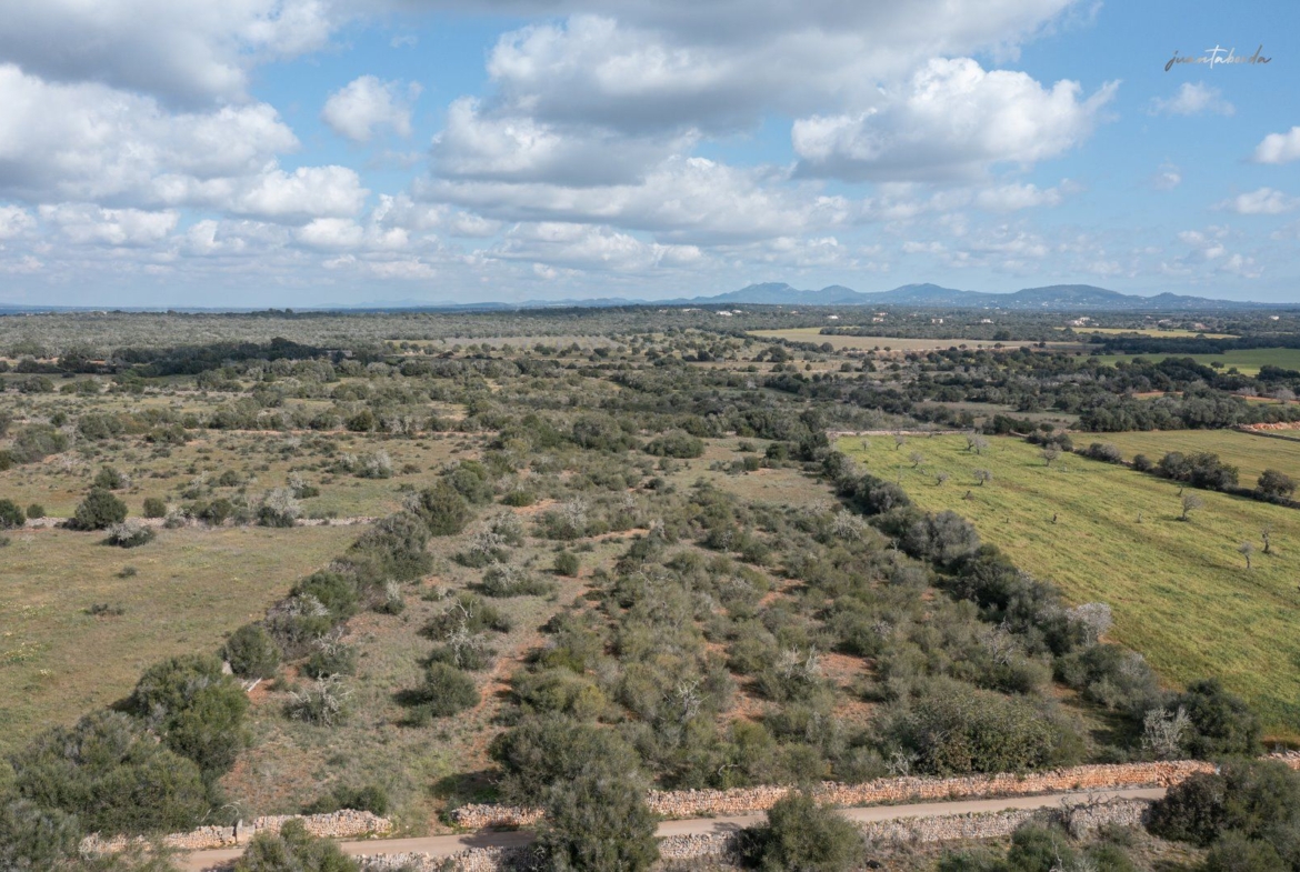 Terreno rústico edificable junto a Ses Salines con luz de red