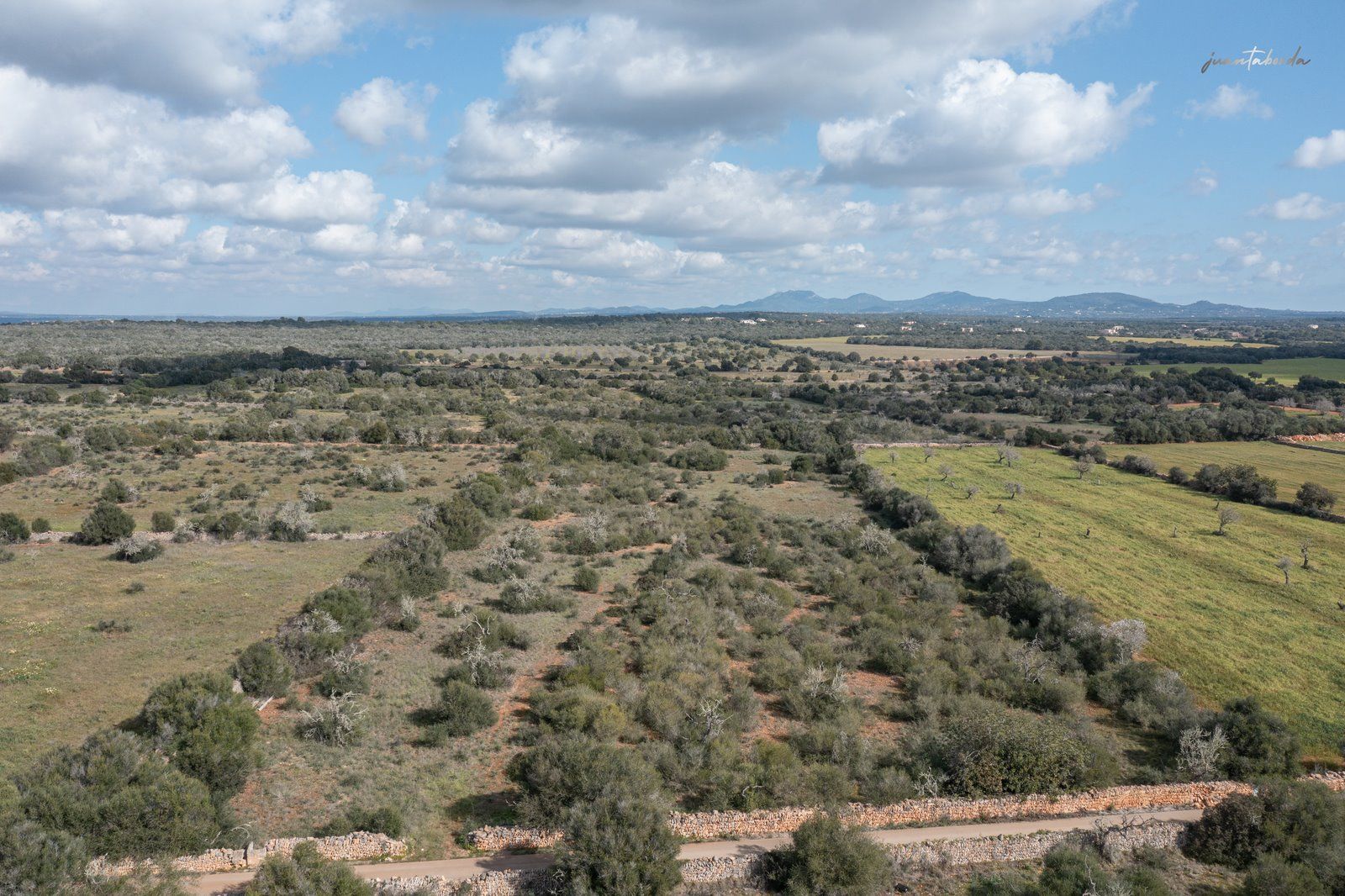 1330-Rustic-land-for-sale-next-to-Ses-Salines-2-Copiar.jpg Terreno rústico edificable junto a Ses Salines con luz de red