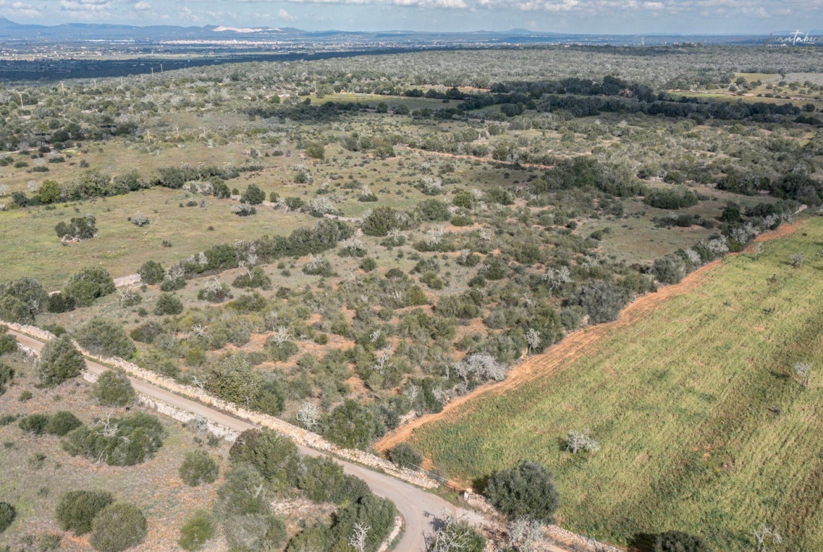 Terreno rústico edificable junto a Ses Salines con luz de red