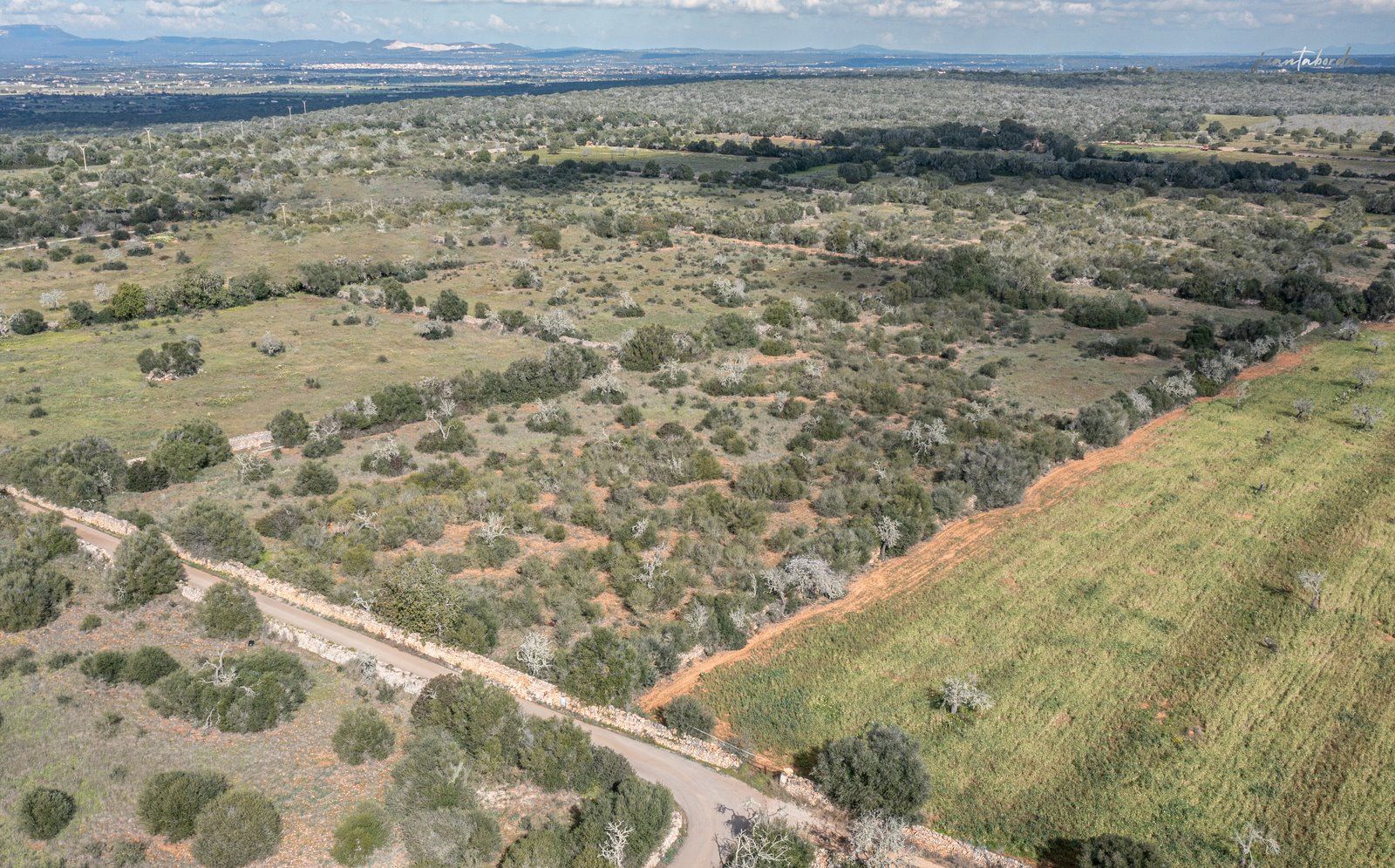 1330-Rustic-land-for-sale-next-to-Ses-Salines-3-Copiar.jpg Terreno rústico edificable junto a Ses Salines con luz de red
