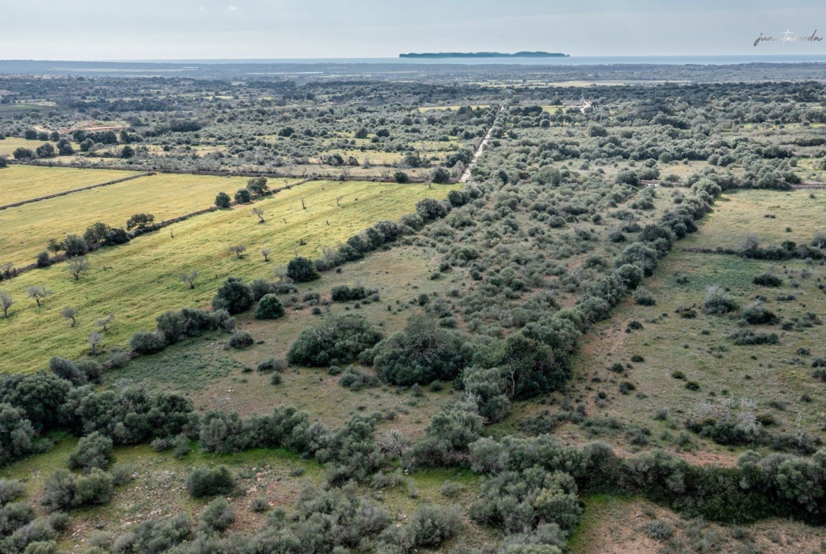 Terreno rústico edificable junto a Ses Salines con luz de red