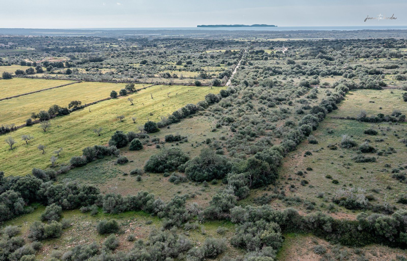 1330-Rustic-land-for-sale-next-to-Ses-Salines-4-Copiar.jpg Terreno rústico edificable junto a Ses Salines con luz de red