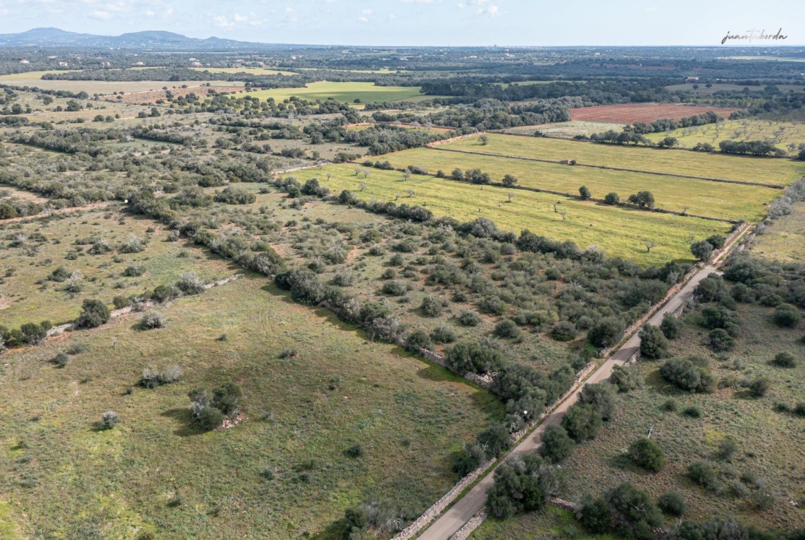 Terreno rústico edificable junto a Ses Salines con luz de red
