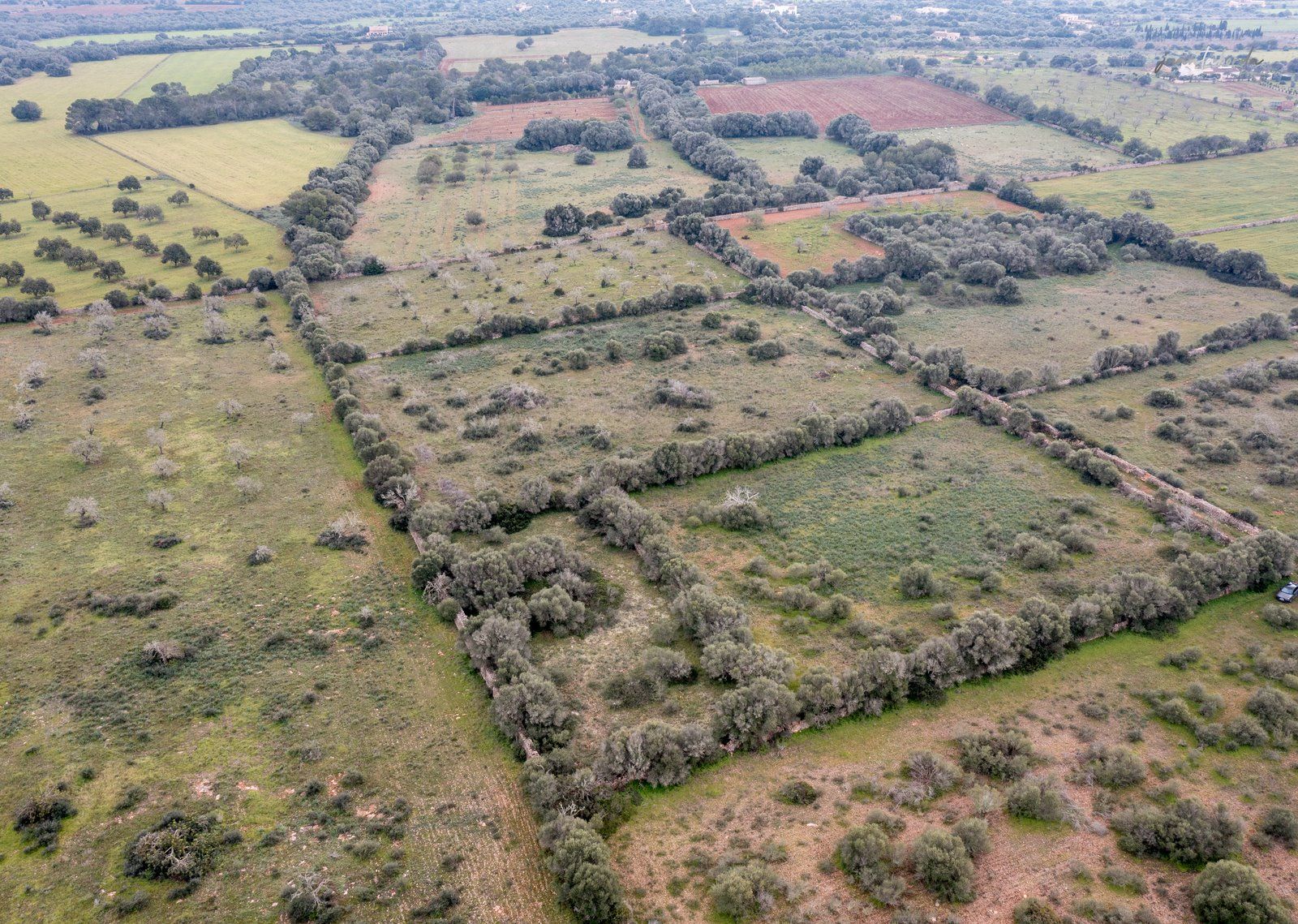 1333-Building-plot-for-sale-next-to-Ses-Salines_-2-Copiar.jpg Terreno rústico en venta junto a Ses Salines, Mallorca