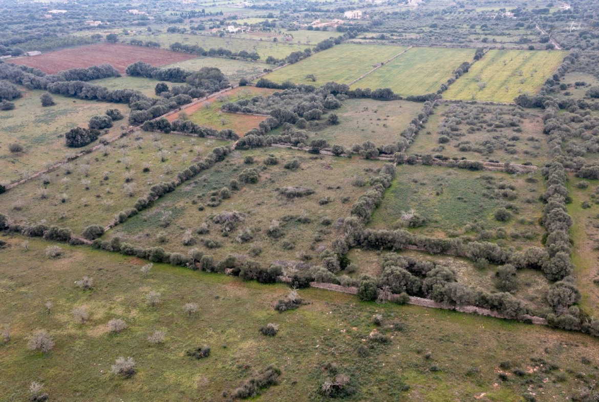 Terreno rústico en venta junto a Ses Salines, Mallorca