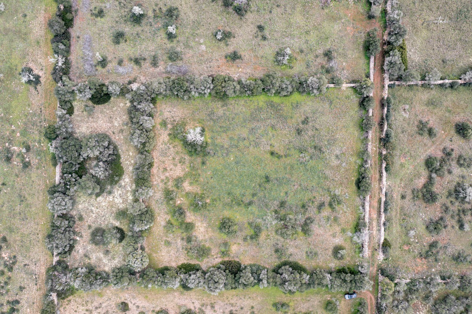1333-Building-plot-for-sale-next-to-Ses-Salines_-8-Copiar.jpg Terreno rústico en venta junto a Ses Salines, Mallorca