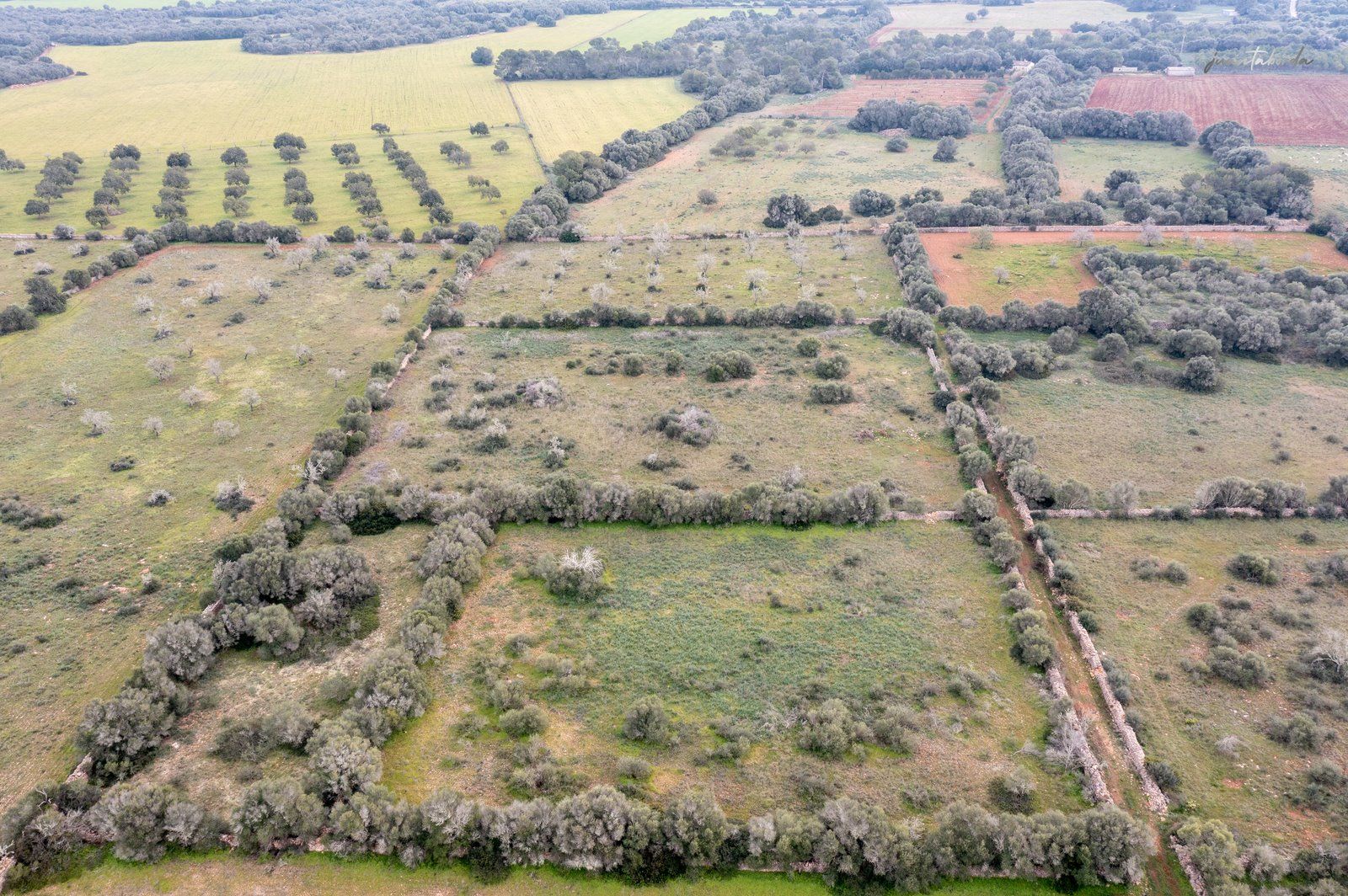 1333-Building-plot-for-sale-next-to-Ses-Salines_-Copiar.jpg Terreno rústico en venta junto a Ses Salines, Mallorca