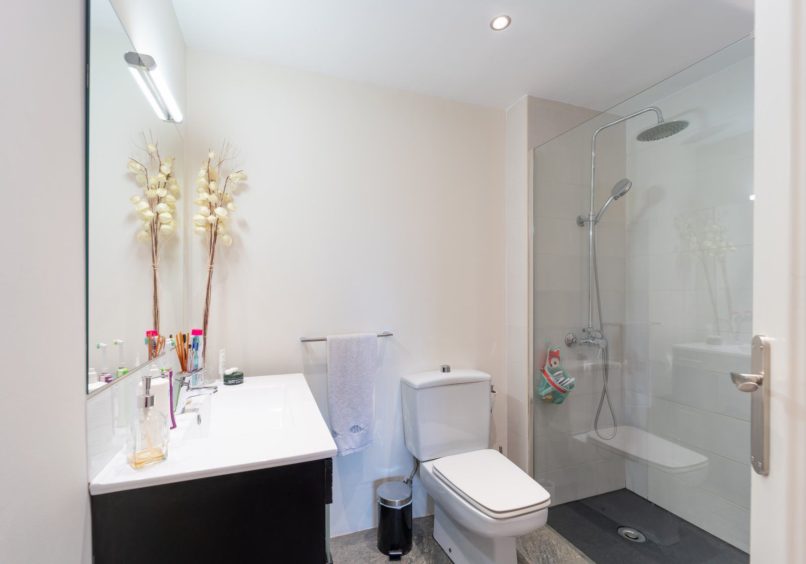 Geräumige 5-Zimmer-Wohnung mit Terrasse und Bergblick in Palma