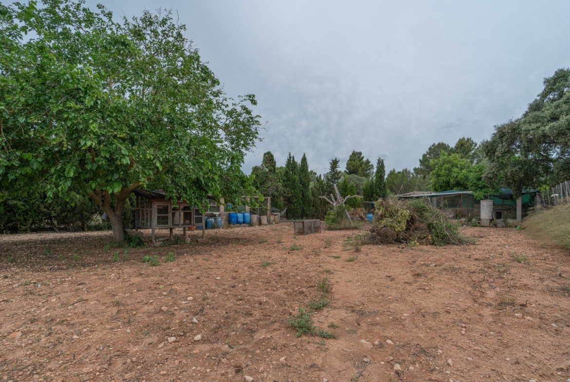 Landhaus zum Verkauf in Llucmajor – 3.449 m² Grundstück, Mallorca