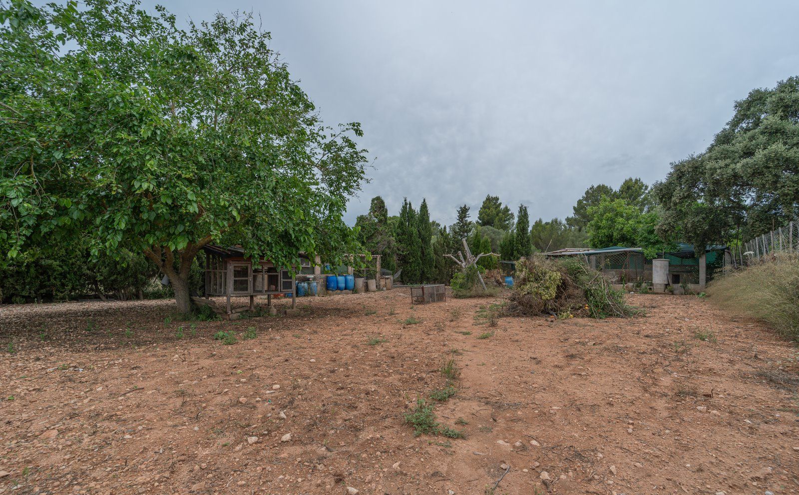 1360-Country-house-for-sale-in-a-quiet-location-outside-Llucmajor-3-10-Copiar.jpg Landhaus zum Verkauf in Llucmajor – 3.449 m² Grundstück, Mallorca