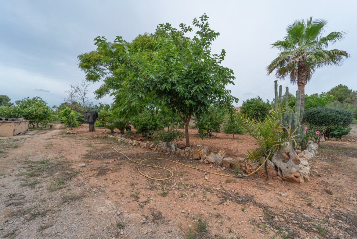 Landhaus zum Verkauf in Llucmajor – 3.449 m² Grundstück, Mallorca