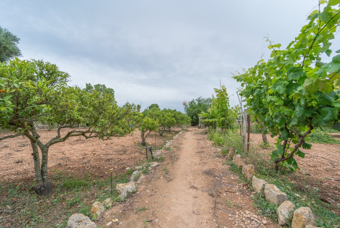 Landhaus zum Verkauf in Llucmajor – 3.449 m² Grundstück, Mallorca