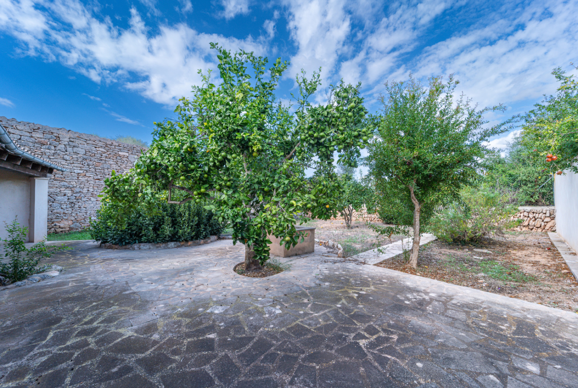 Herrschaftliches Stadthaus 430 m² mit 620 m² Garten und 6 Schlafzimmern in Ses Salines