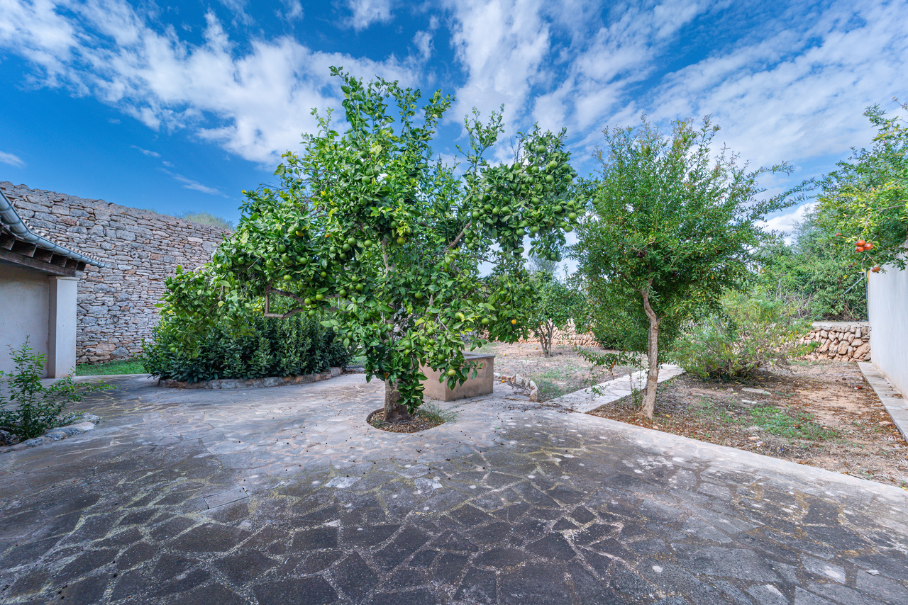 1490-Beautiful-town-house-with-garden-for-sale-in-Ses-Salines-03.jpg Herrschaftliches Stadthaus 430 m² mit 620 m² Garten und 6 Schlafzimmern in Ses Salines