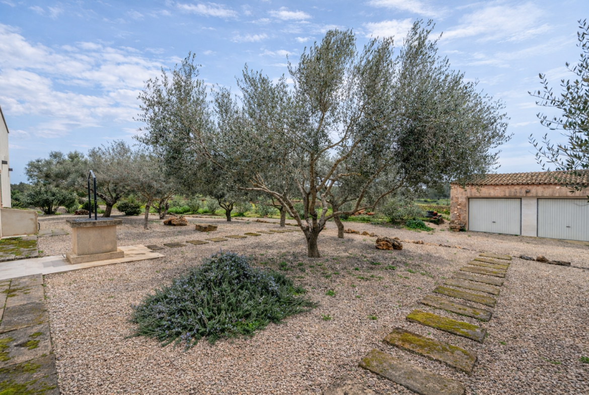 Luxus-Landhaus zur Miete in Ses Salines, Mallorca