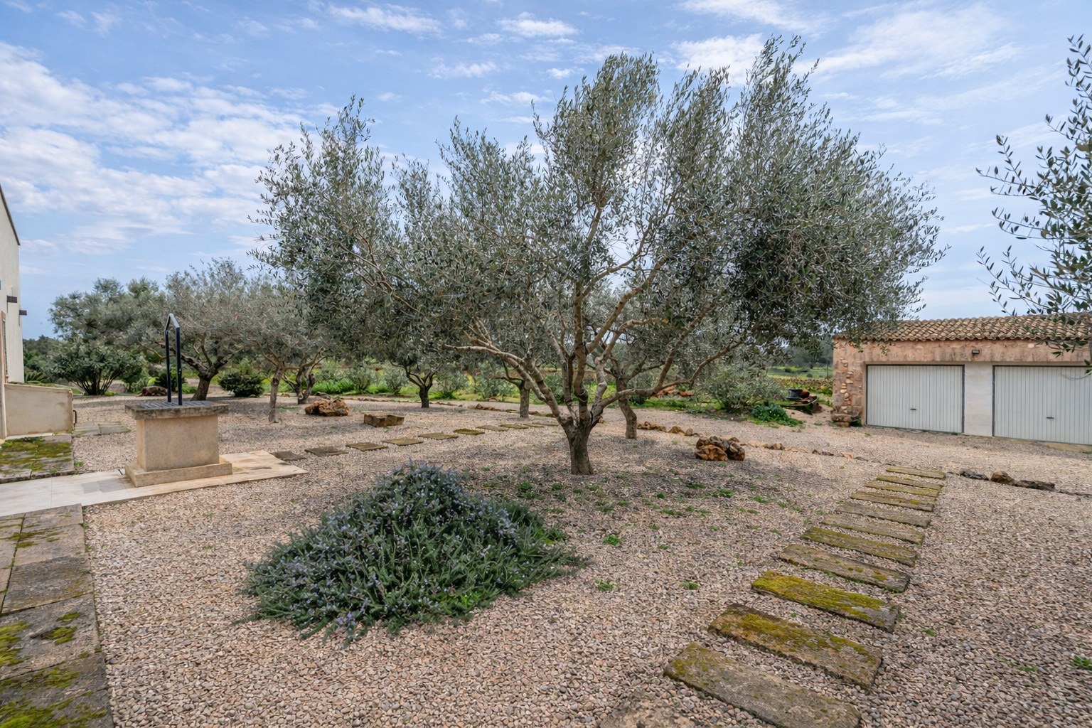1499-Luxury-villa-to-rent-in-Ses-Salines-26.png Luxus-Landhaus zur Miete in Ses Salines, Mallorca