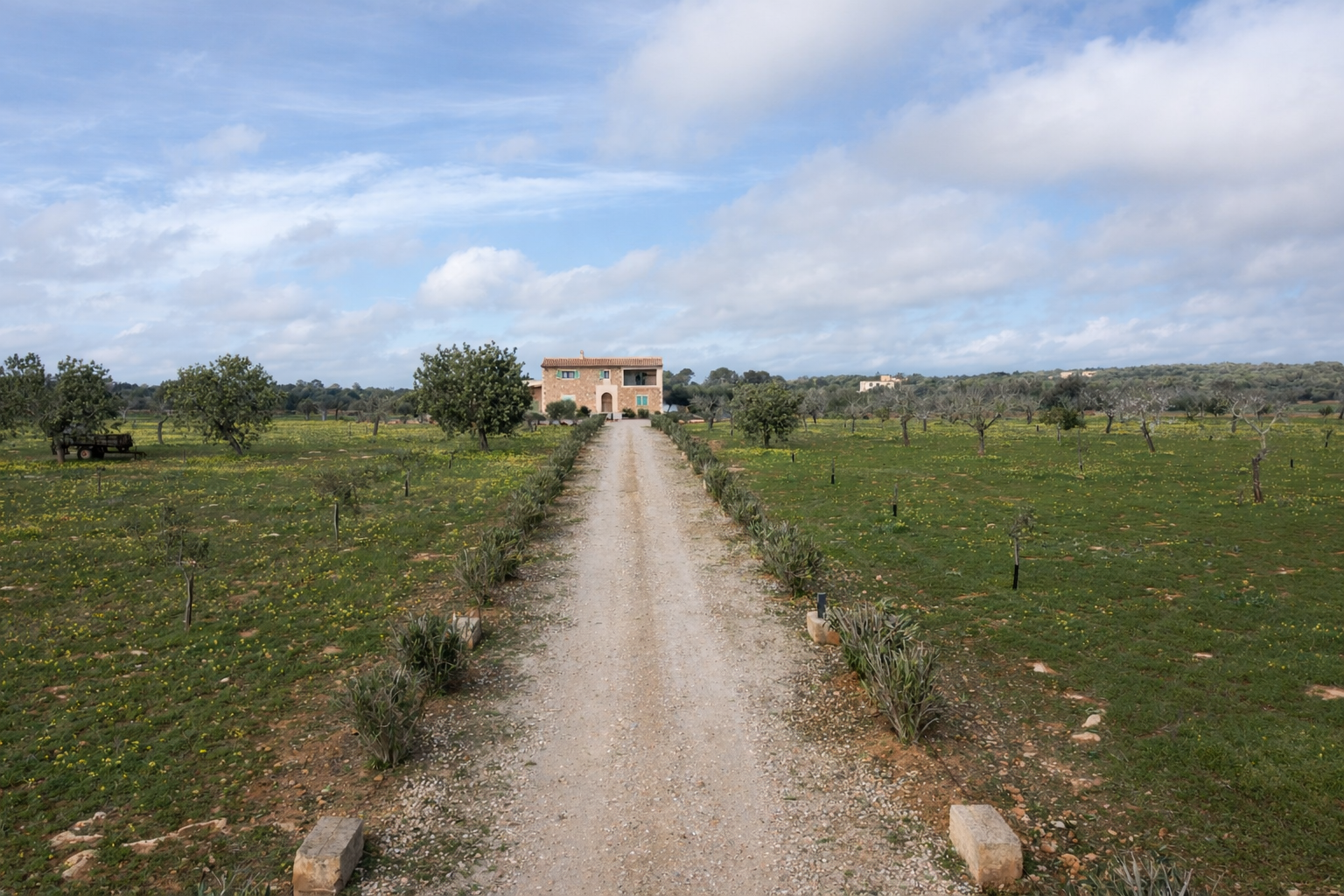 1499-Luxury-villa-to-rent-in-Ses-Salines-56.png Luxus-Landhaus zur Miete in Ses Salines, Mallorca